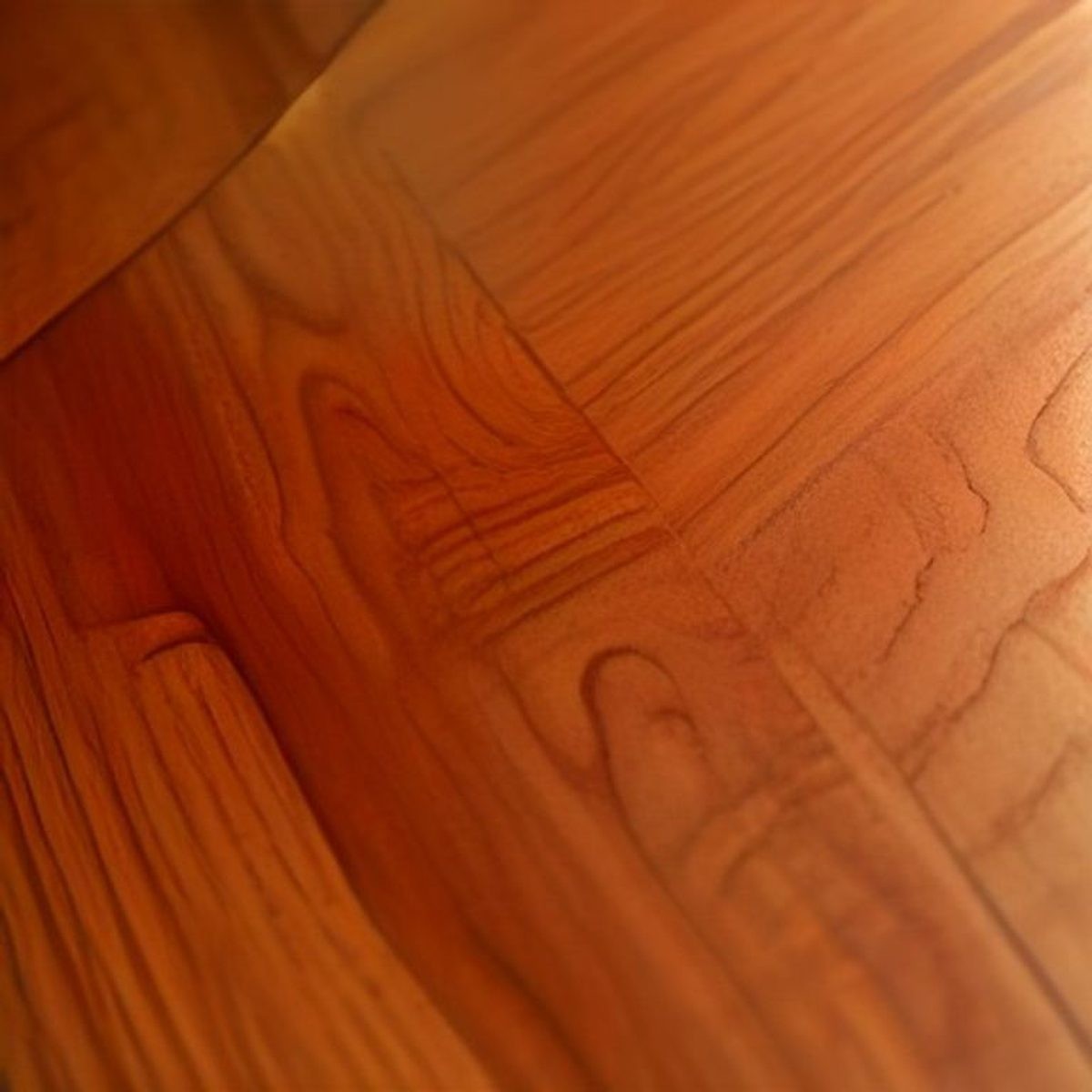 Native Spotted Gum