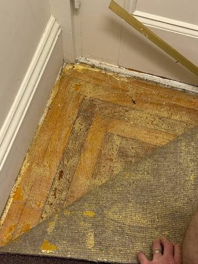 Carpet Removal & Floor Reveal in progress on a timber floor